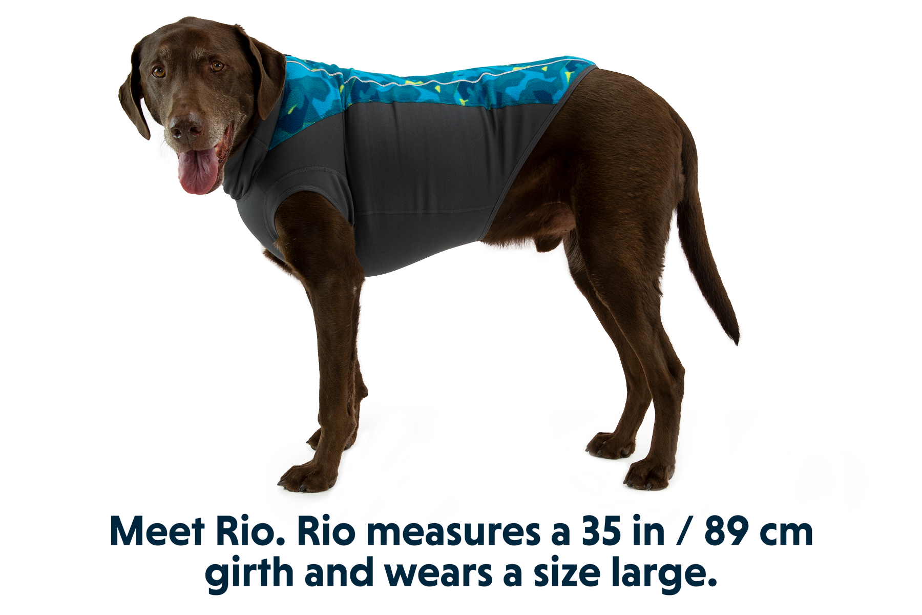 Climate Changer™ Dog Fleece Pullover