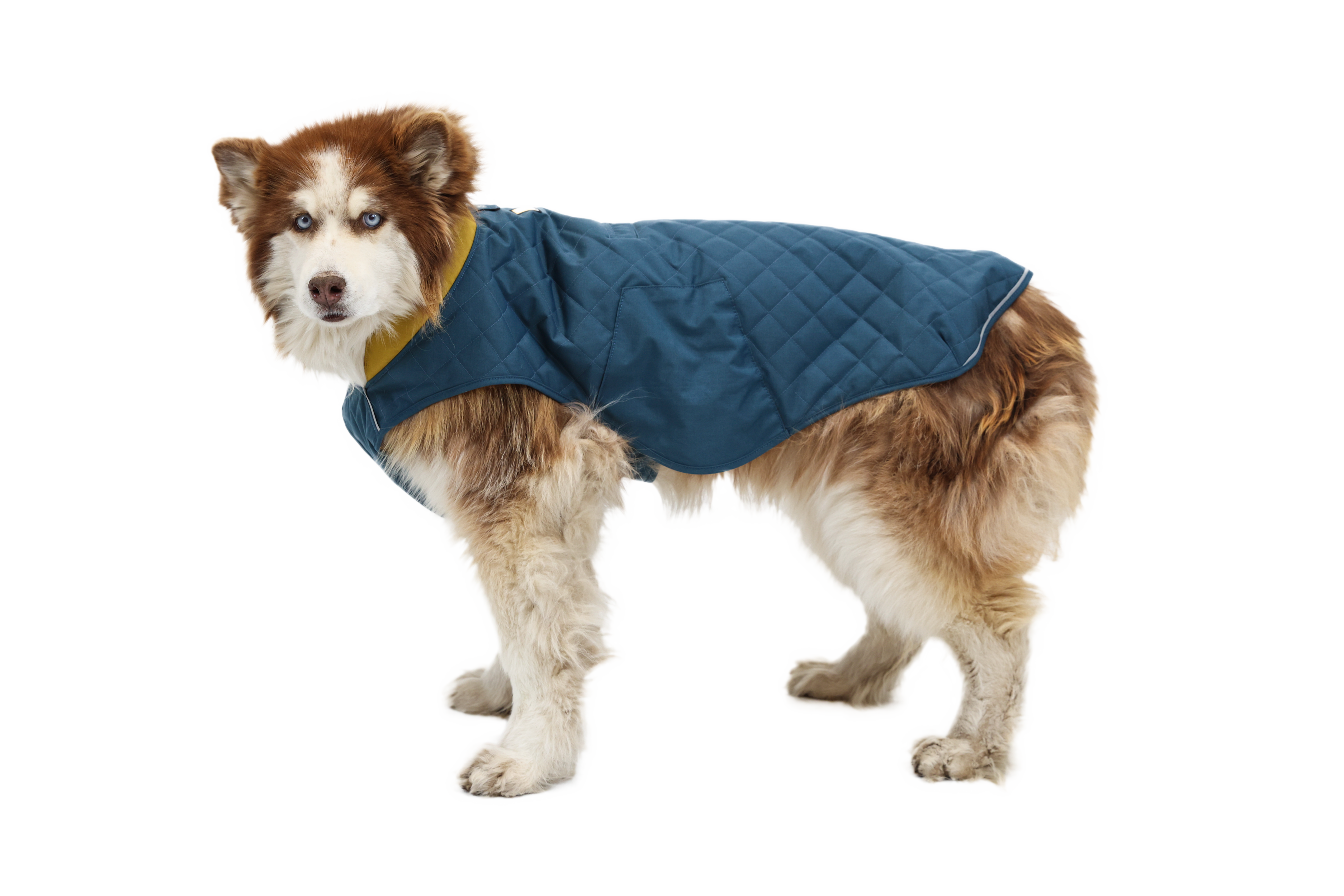 Stumptown™ Quilted Dog Coat