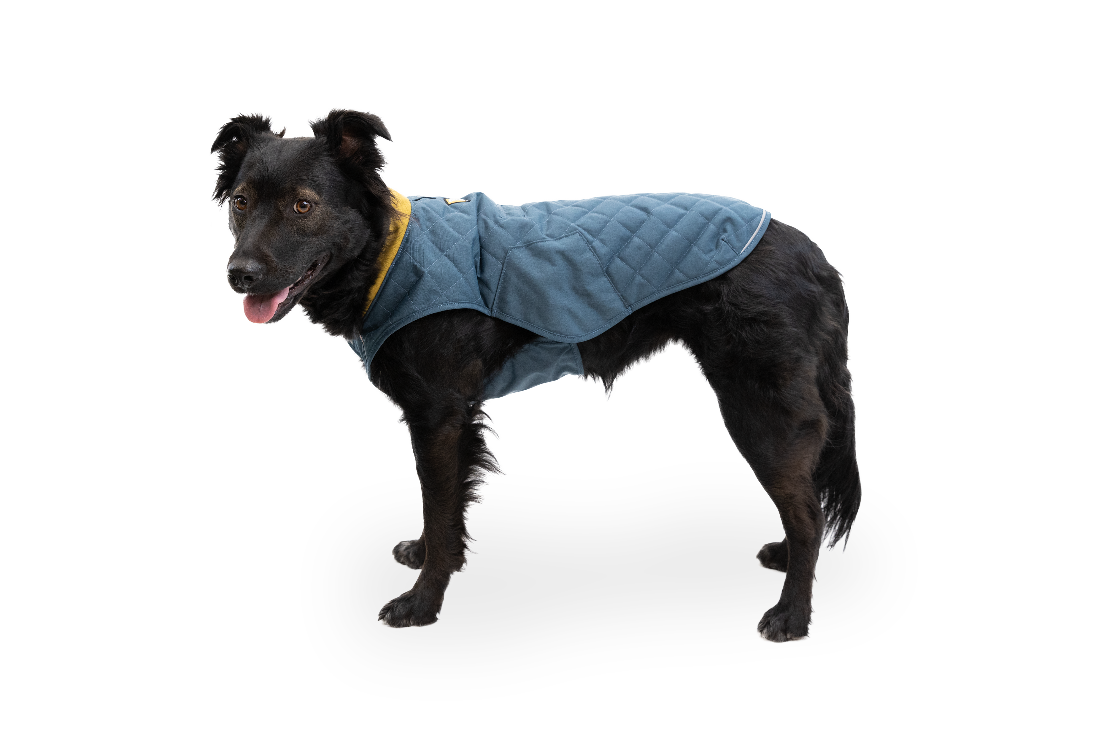 Stumptown™ Quilted Dog Coat