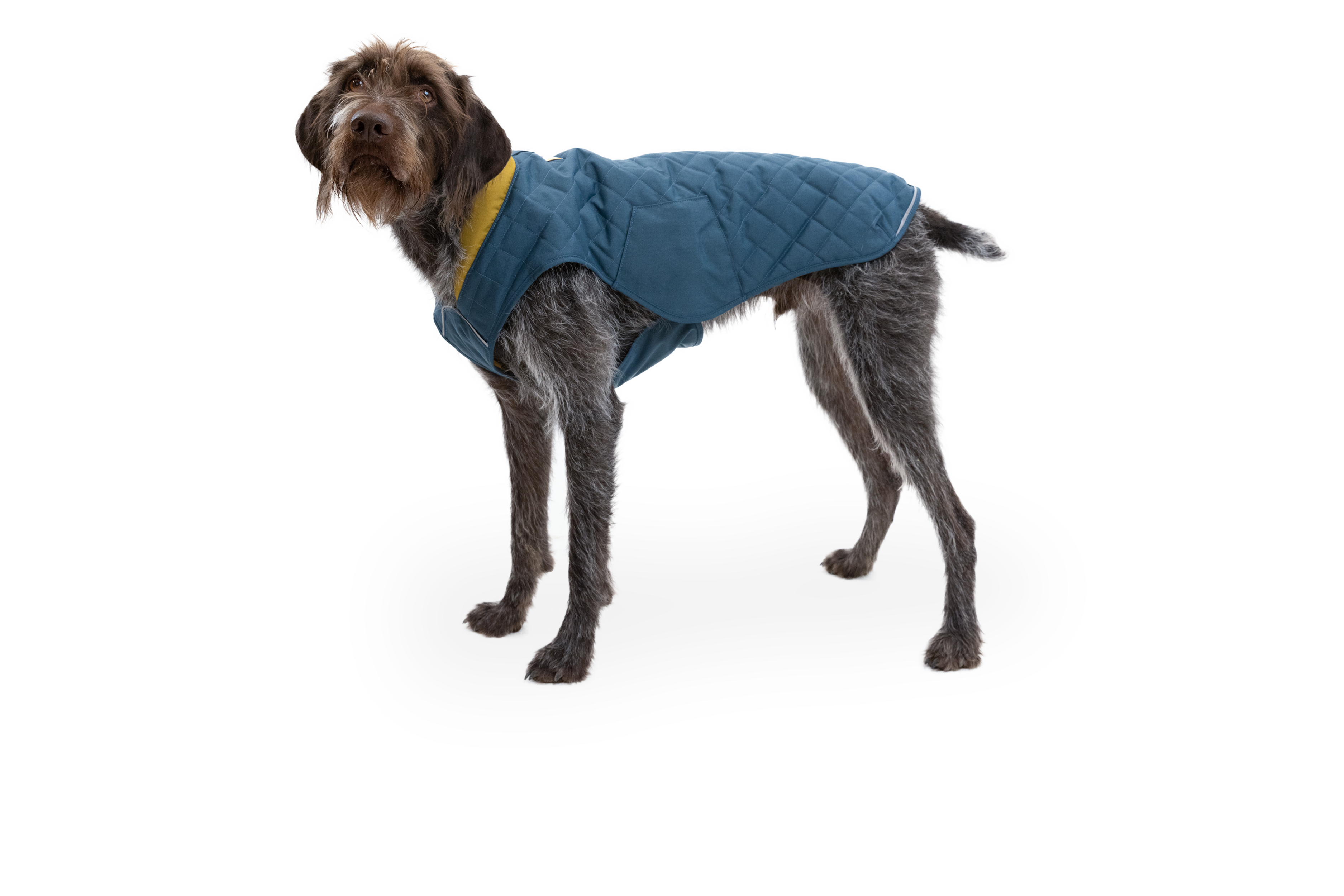 Stumptown™ Quilted Dog Coat