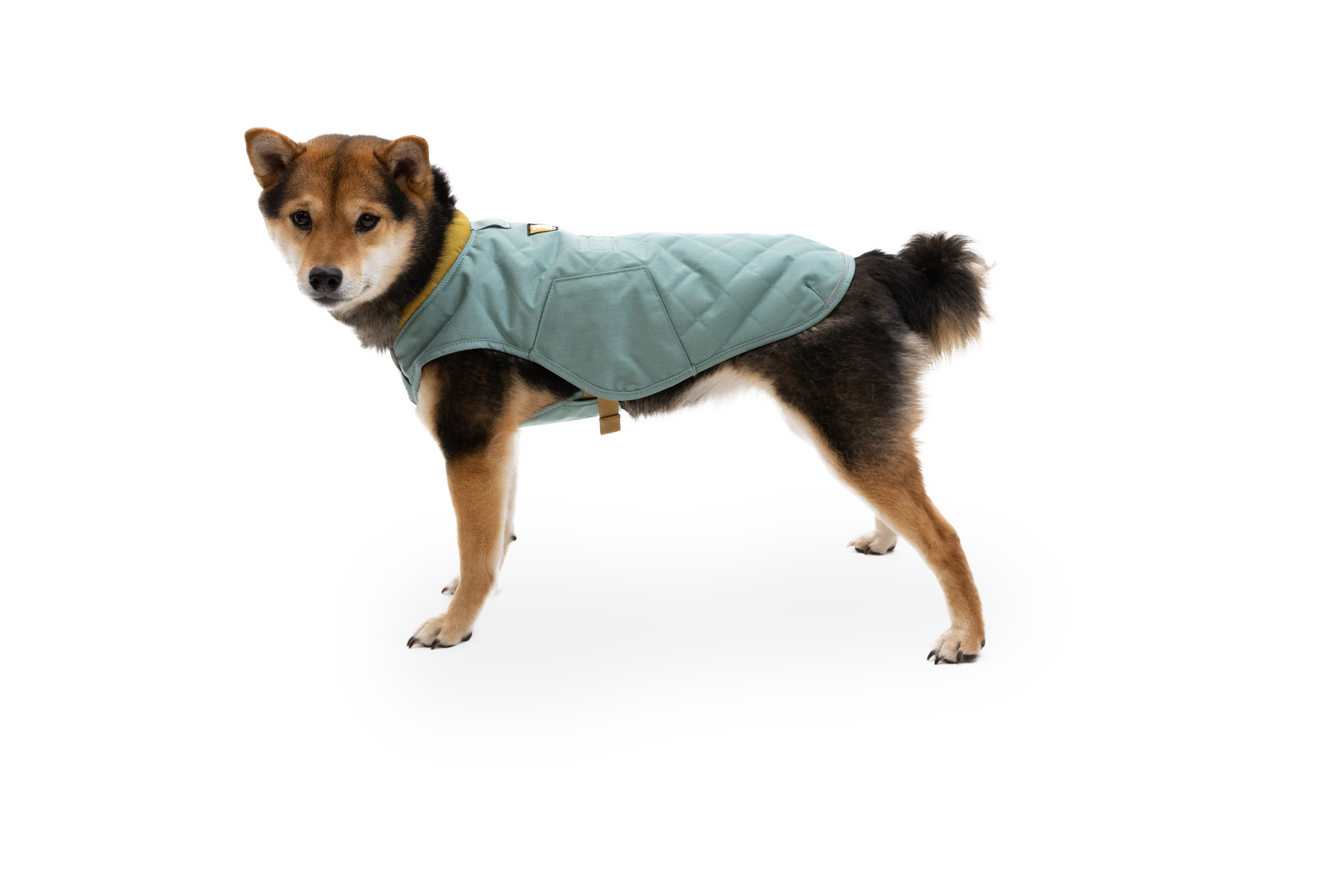 Stumptown™ Quilted Dog Coat