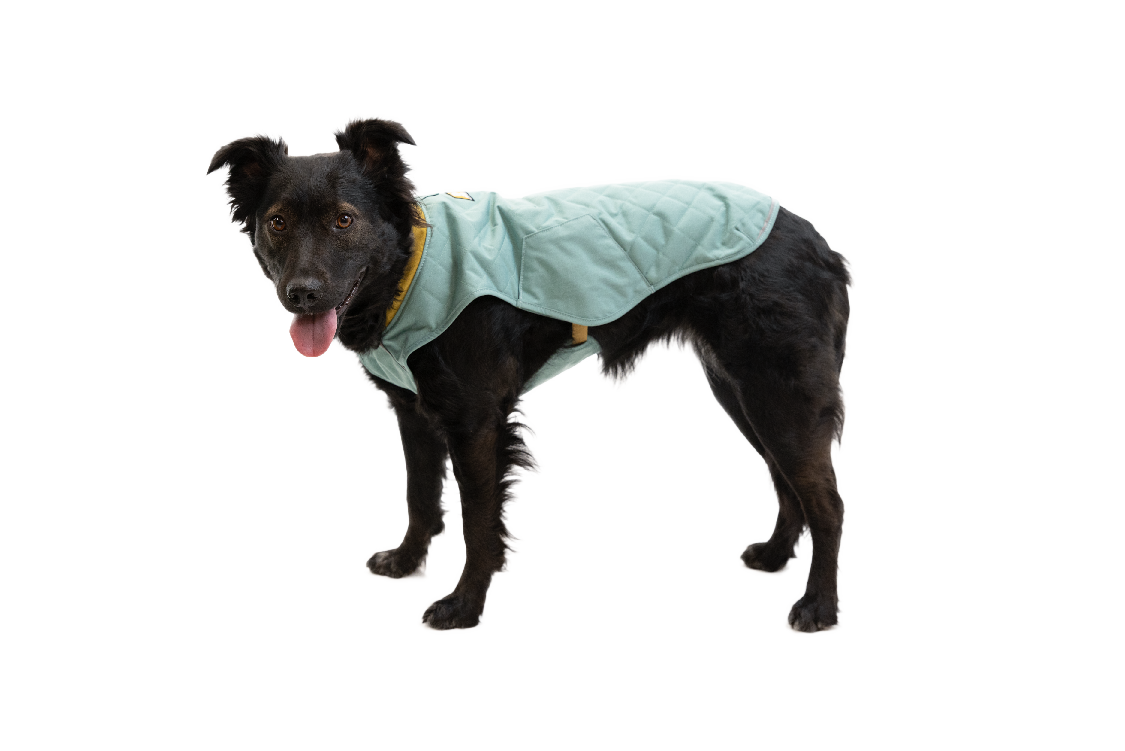 Stumptown™ Quilted Dog Coat