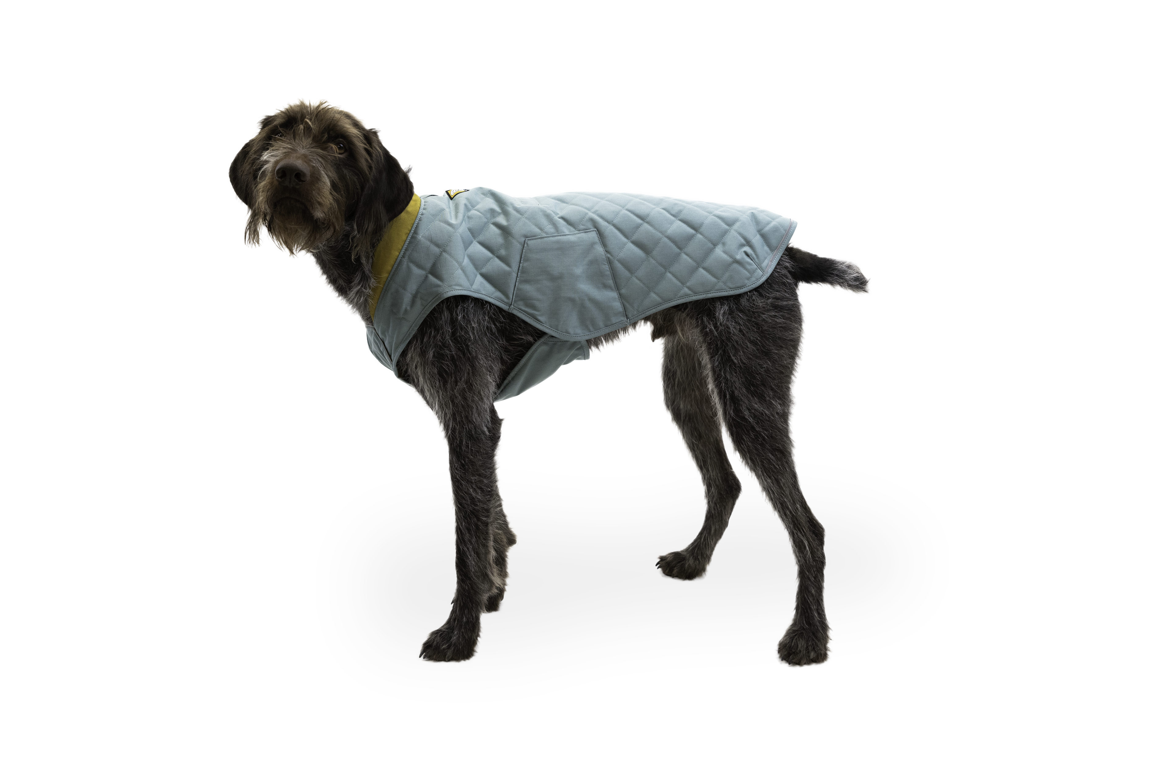 Stumptown™ Quilted Dog Coat