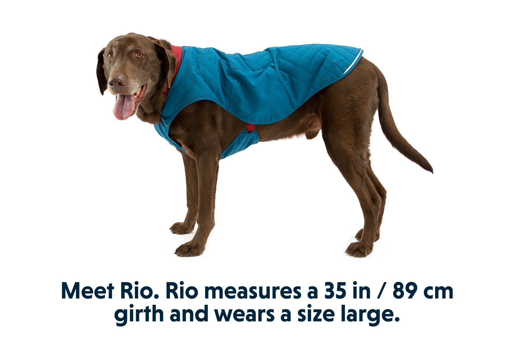Stumptown™ Quilted Dog Coat