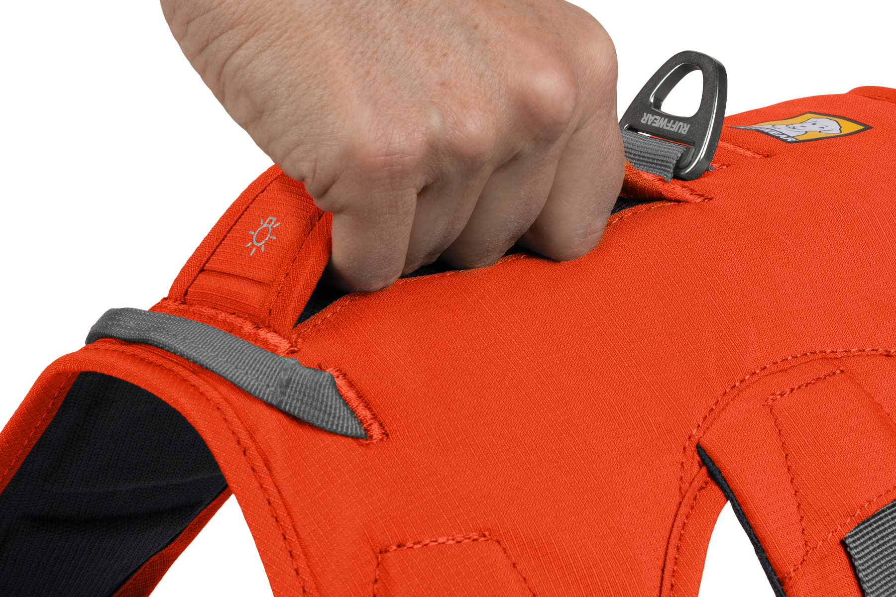 Web Master™ Dog Harness with Handle