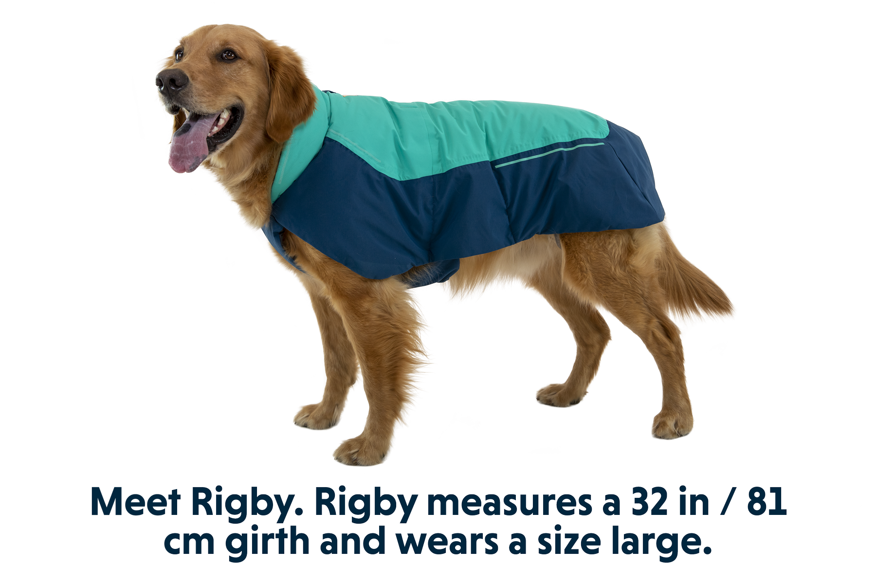 Vert™ Dog Jacket